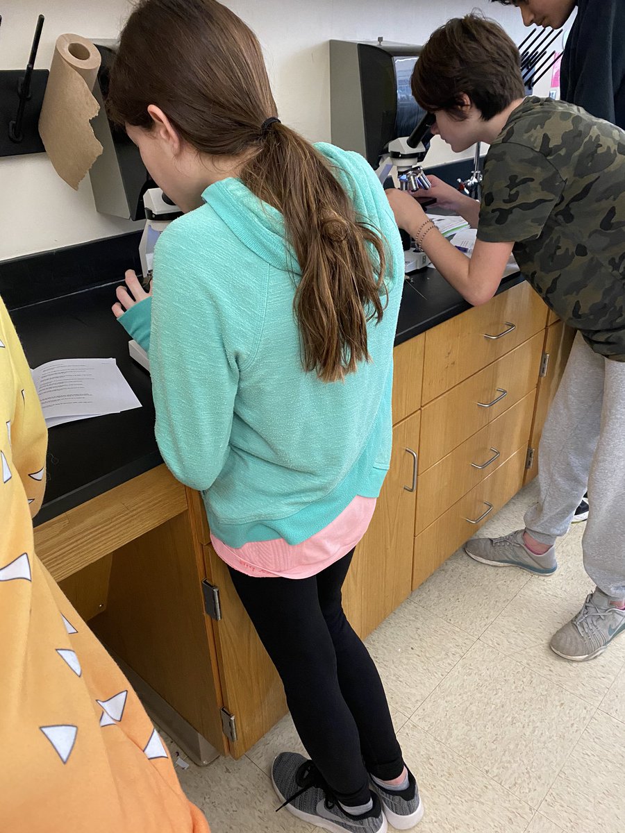 Freeman7Science's tweet image. Ssssooooo excited!! I love when my kids get to use the microscopes. Today we learned how to create a wet mount slide and the proper way to use a microscope. Getting us ready for next week when we look at LIVE protists. #MPMSleopards #7Science #Cells #Microscopes