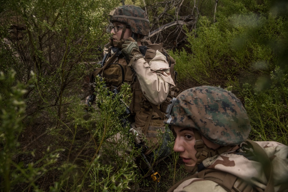 USPACOM's tweet photo. @PacificMarines with @1st_Marine_Div participating in #SteelKnight20 increasing the ability of all Marines to plan, communicate and conduct operations @MCIWPendletonCA. #SemperFidelis #Lethality #FreeandOpenIndoPacific #Readiness https://t.co/BeTIEZXGnK
