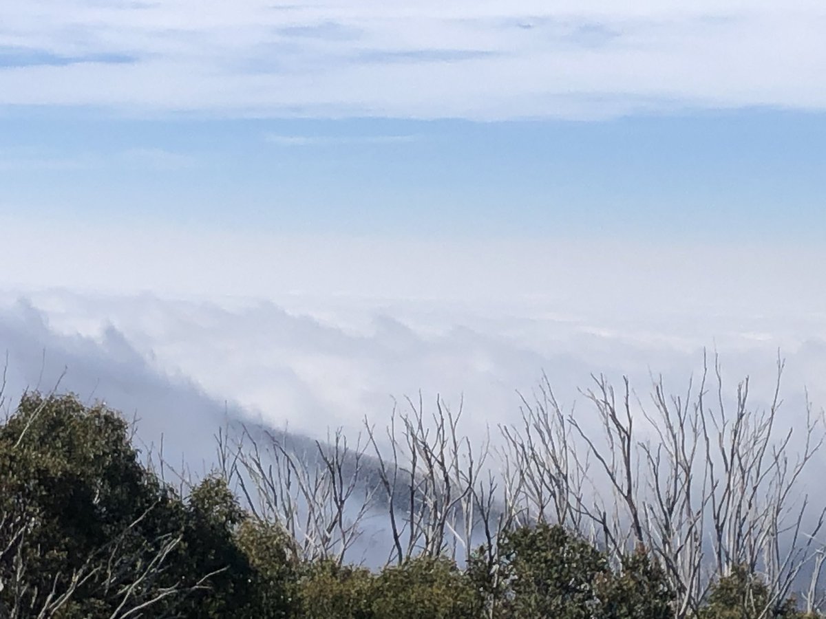 Mist rolled in overnight. Then it got cold. Then I woke up. Then this  #AAWT. Amazing. Summits on the horizon are Mt Buller, Stirling and The Bluff I believe