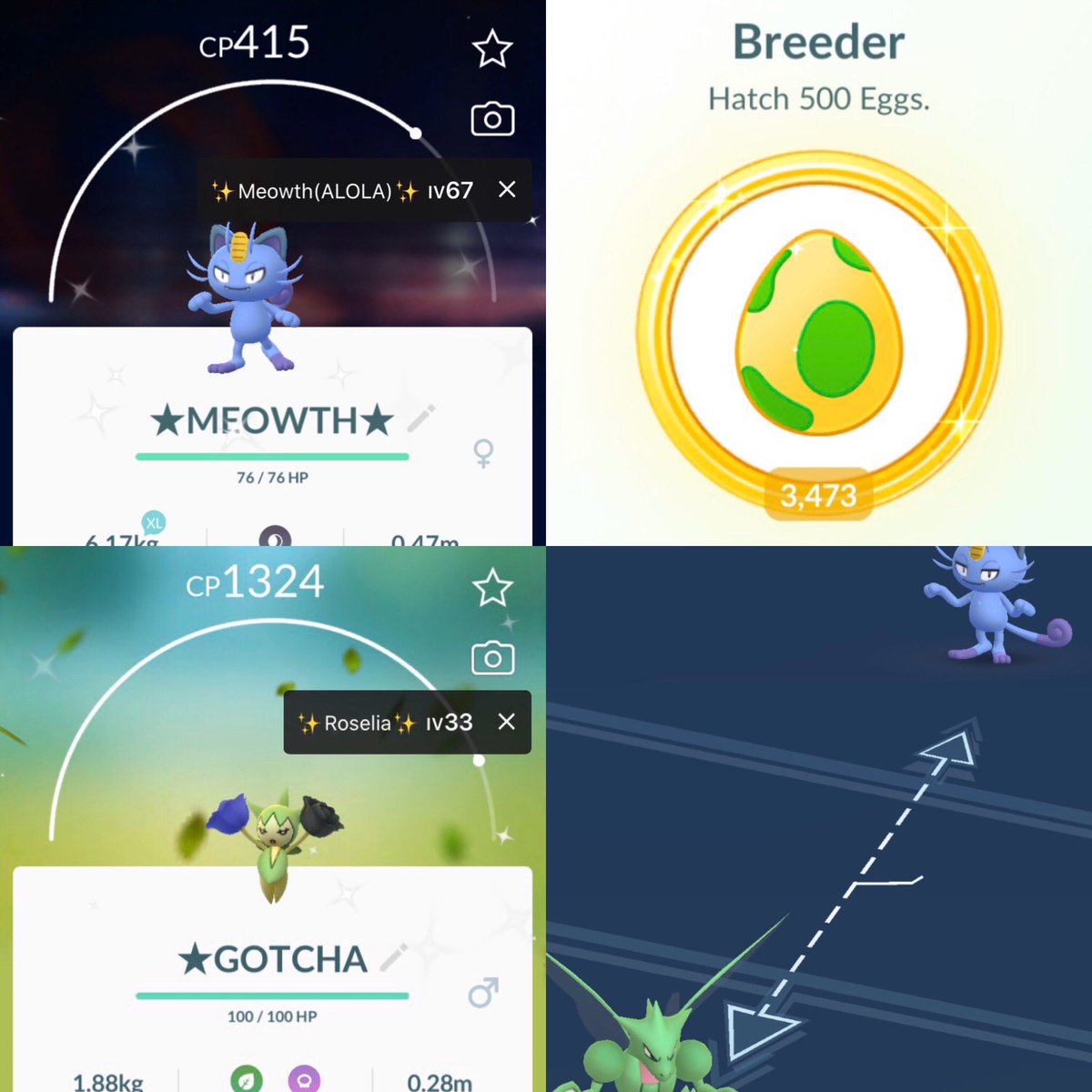 PoGoMaster12's tweet photo. Both my accounts caught a little shine yesterday! Super super stoked I hatched a #shinyalolanmeowth #thatsriggt 😼👌🏿✨🐣👾✅
—
#pokemongo #evolutionevent #gotcha #shinypokemon #shinycatch #shinyhatch #breeder #shinytrade #shinyhunt #shinyhunter🤠 https://t.co/HWoUl5MVjq