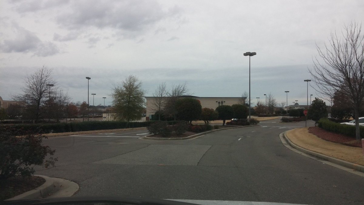 A photo of the landscaping islands separating lanes and flanking the front drive of a suburban shopping mall. The trees have no leaves. There are streetlamps scattered around the frame into the distance denoting expanses of unseen parking lot.