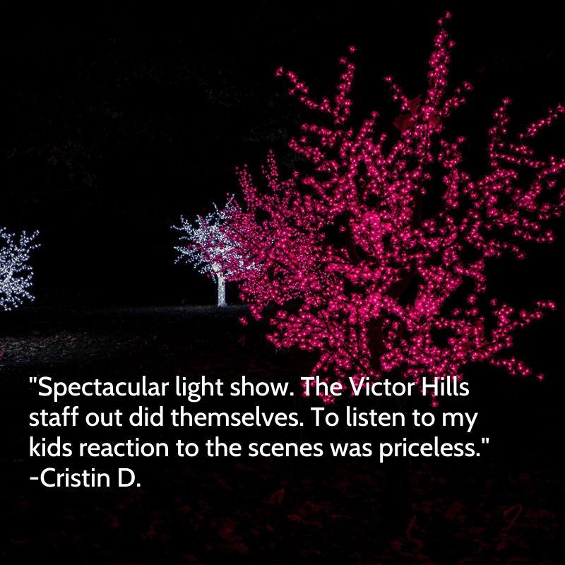 LightsRoc's tweet photo. We love getting reviews like this! Thank you for sharing your experience, Cristin!

#ROClights #victorhills #drivethrulightshow #drivethruchrismaslights https://t.co/4nRTeOxHI0