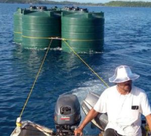 A lack of water in the district of Lulunga in #Tonga leads to illnesses and poor nutrition. With support from #Australia, we're finding long-term solutions for water security. For more ➡ cutt.ly/ye5uMWi #AustraliaWeek #SDGs