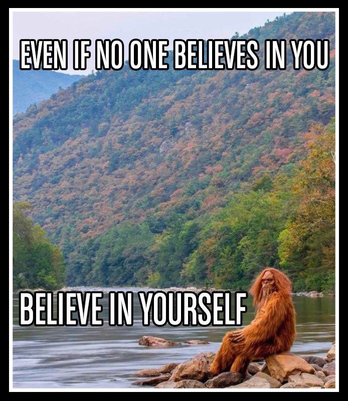 SelineSigil9's tweet image. 😂