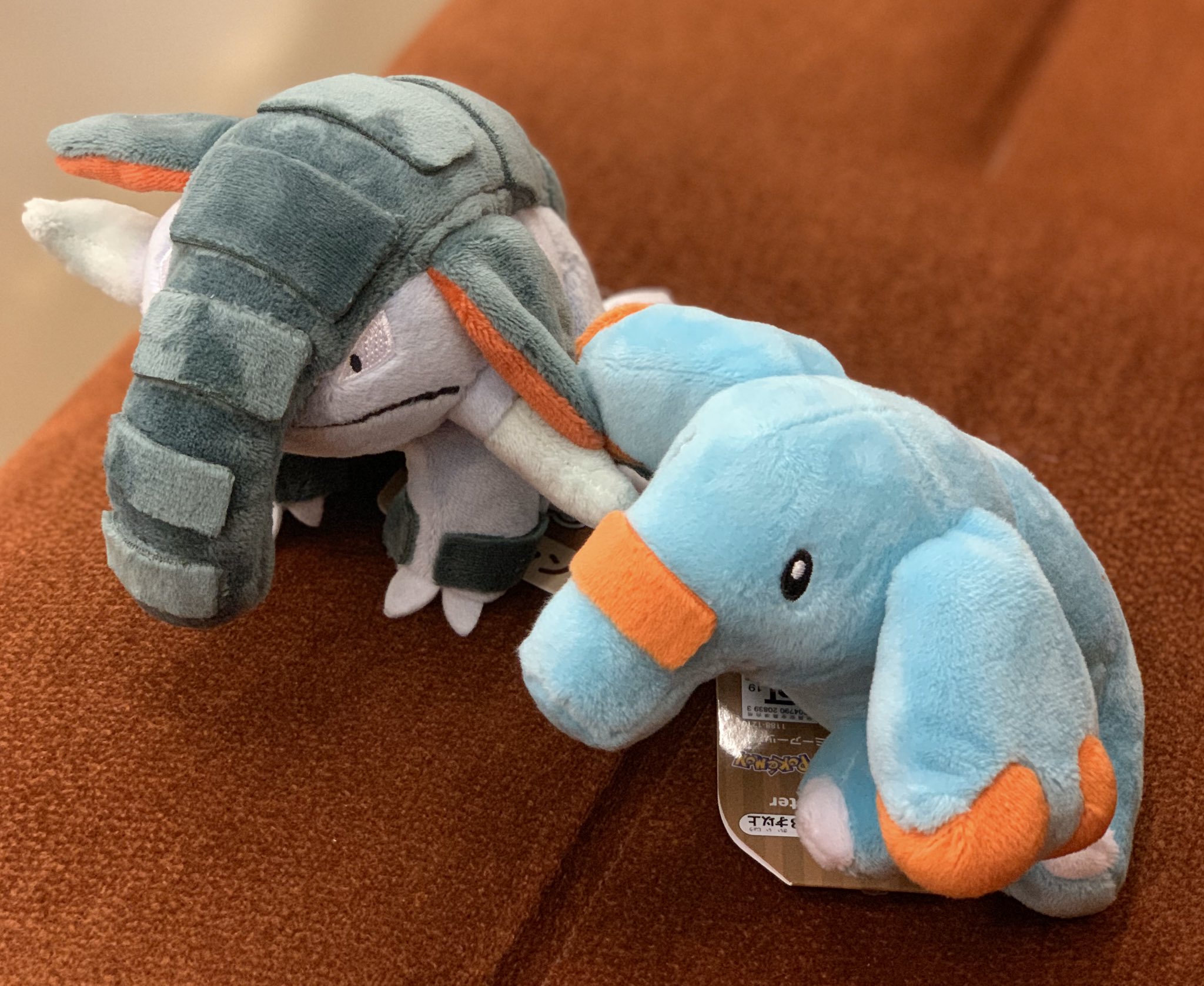 神田みずにゃん そしてシビルドンとか他のドンがつくポケモンのことを言ってる人たちにすら思いついてもらえないドンファン ゴマゾウ ドンファン ドンマイ T Co Ywonr38imn Twitter