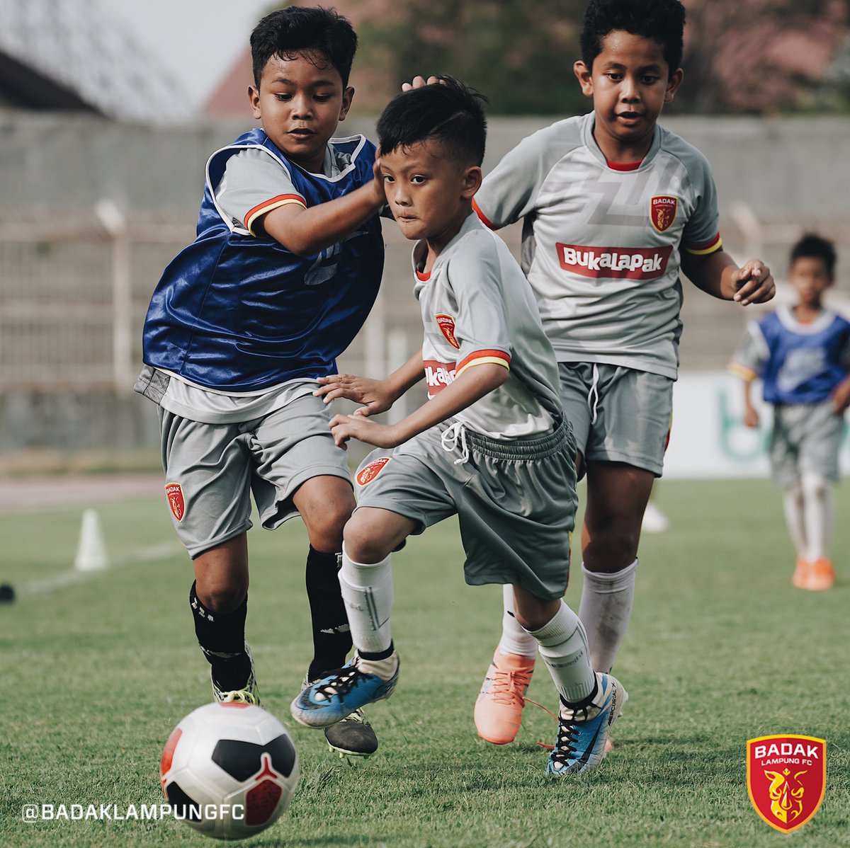 blfc_id's tweet photo. Keseruan di acara BLFC Kids Fun Match Day kemarin. Antusias yang luar biasa oleh adik-adik yang ingin menjadi pemain bola, semoga kedepannya akan banyak lahir pemain sepakbola asal Lampung yang berkiprah di tingkat nasional dan internasional ππΌ #dukungblfc #BLFCday #badaklampung https://t.co/tiq3pK2qm0