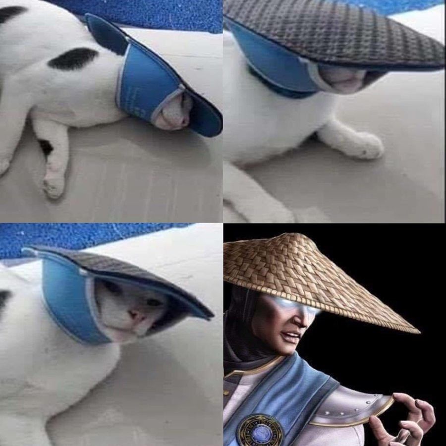 ELeBsZRX0AAGcsB?format=jpg&name=medium