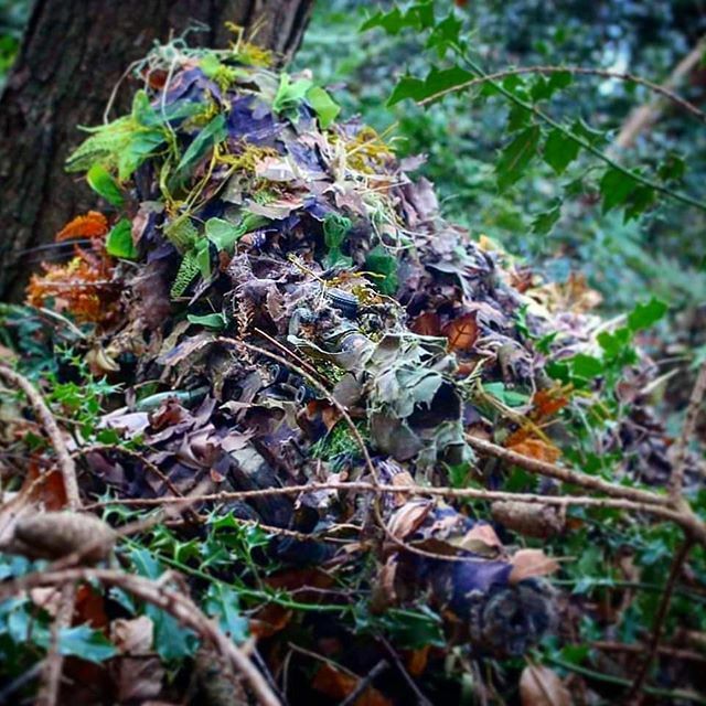 mattyboyzhere's tweet photo. Long time friend of mine @hawk_sye if you haven't already give this guy a follow. He has amazing gillie builds for almost any environment and have some unique tips and tricks!

#ghilliesuit #ghillie #leafsuit #ghilliecrafting #ghilliecraft #camocrafting #consealment #camo #l… https://t.co/8gHDyMfypD