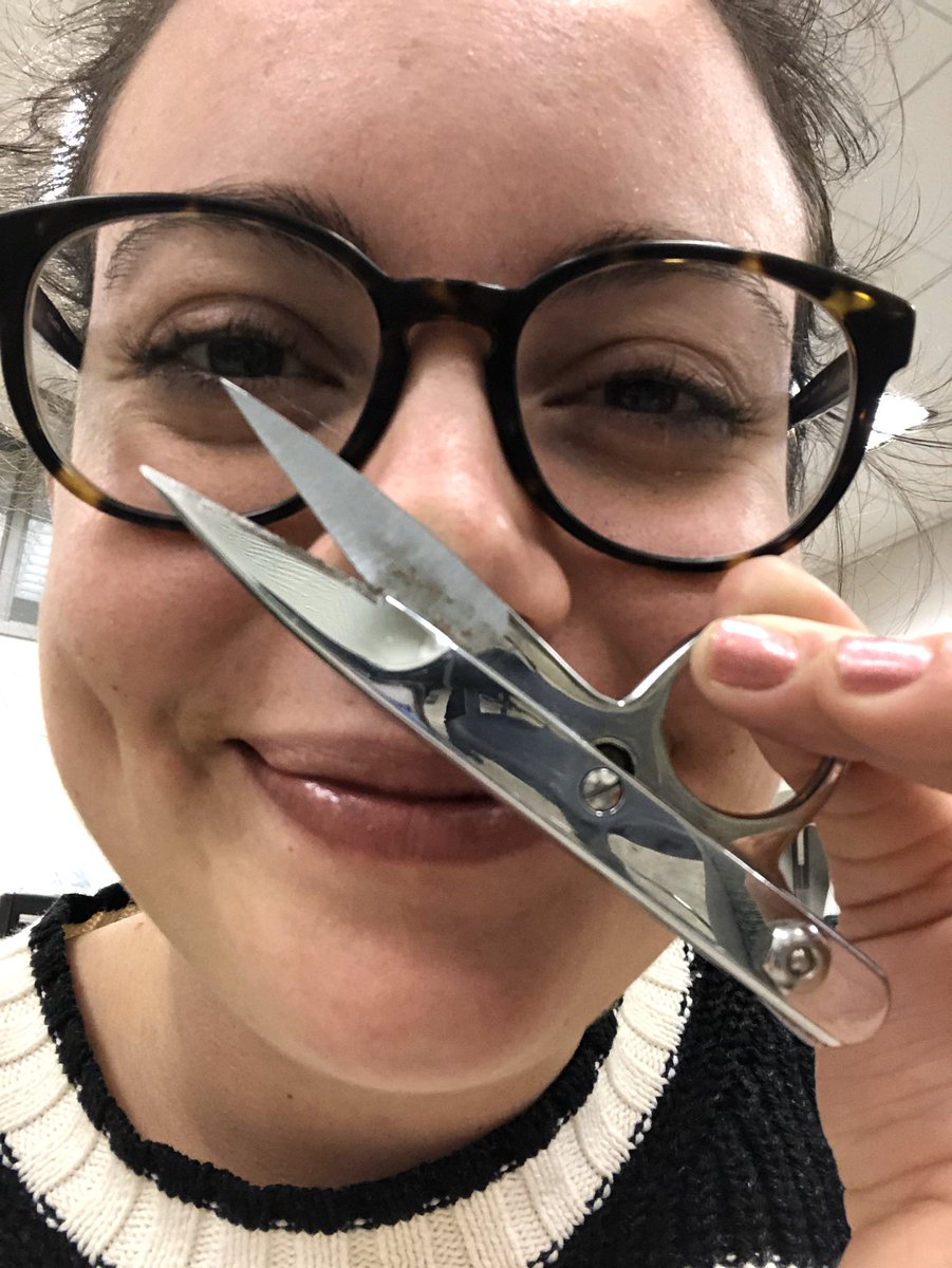 aggressive guppy tweet media