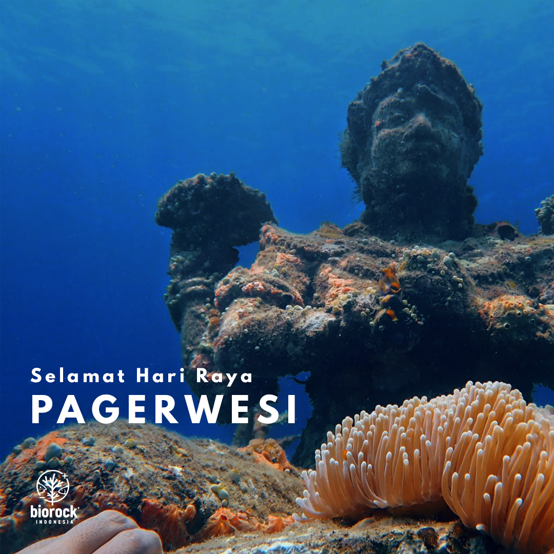 Segenap tim Biorock Indonesia mengucapkan: Selamat Hari Raya Pagerwesi.
.
#biorock #biorockindonesia #coralreef #conservation #bali #coral #restoration #karanglestari #ayobantuseKarang