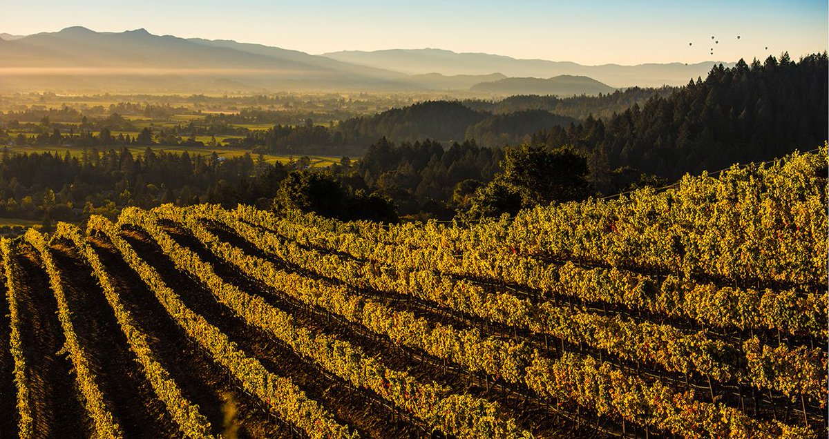 Where do you start, where there are some 400 wineries, seven Michelin-starred restaurants, and plenty more offerings for culture, adventure, and wellness? Right here, with a first timer's guide to Napa Valley: buff.ly/2LJ1qO1