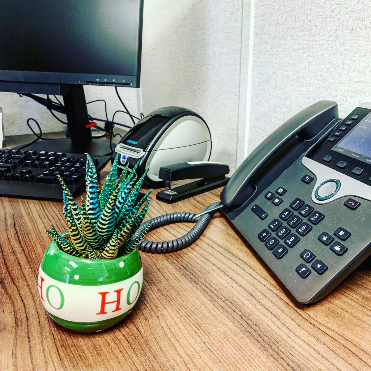 Tsuutinapolice's tweet image. DAY 2 of the spread good challenge “surprise a friend”

Our newest team member of the Tsuut’ina Nation Police Service will be surprised by this little succulent when they return to their desk! 

A small gesture can go a long way! 

#spreadgood #surpriseafriend