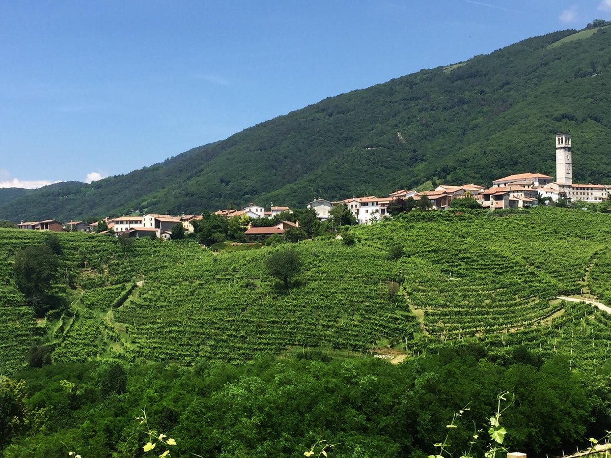 Altaneve tweet media