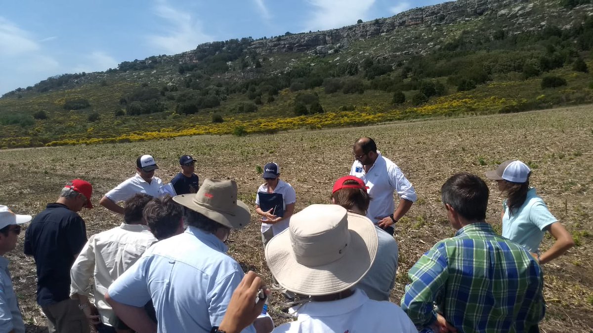 AnaAnaventu's tweet photo. Recorrida junto a la #RegionalJMF de @aapresid. Visita de ensayos de trigo y barbecho con #CurtailM #MeritWG #Pixxaro #Texaro #Enlist #Ligate #Lontrel de @CortevaARG para el control de malezas difíciles. Gracias @Pichiberg1 por la invitacion!!!! https://t.co/g18AkgJ0S8
