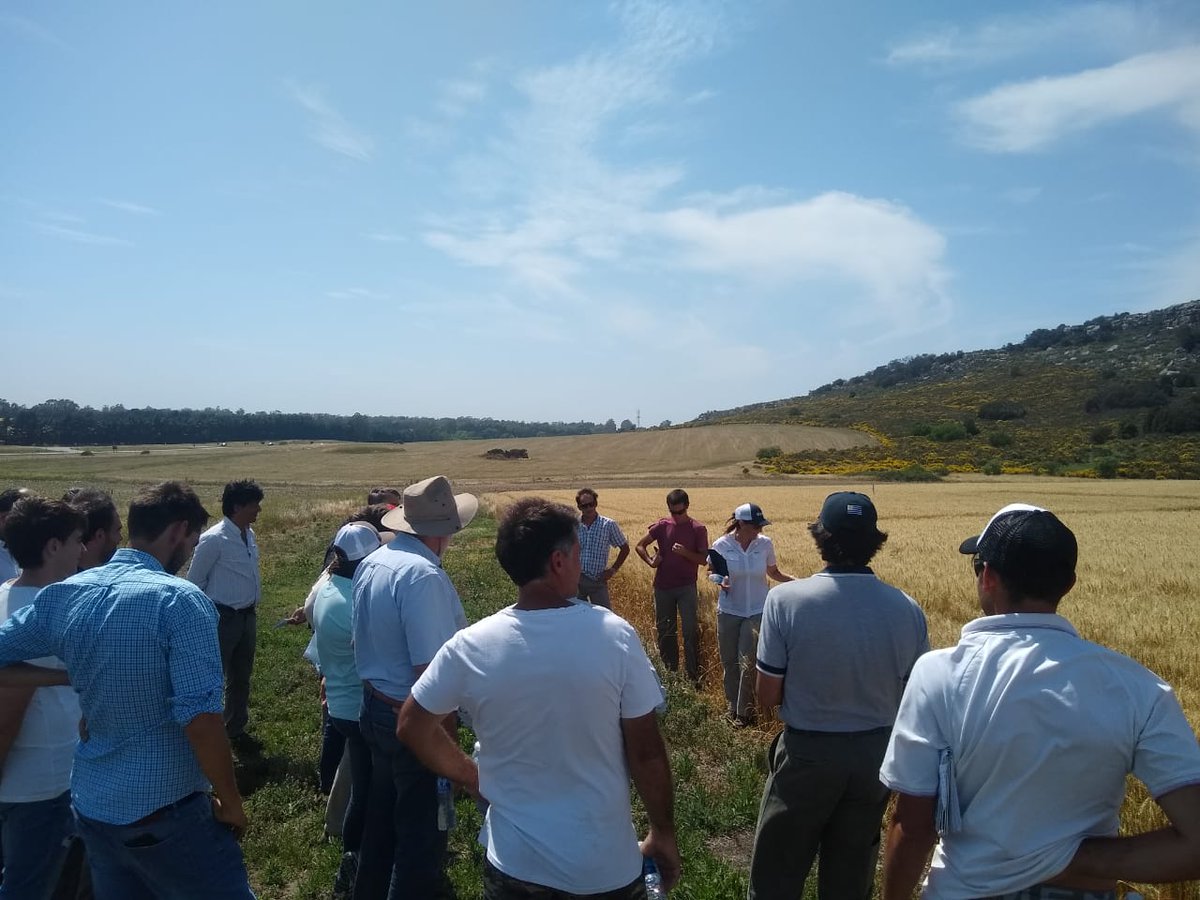 AnaAnaventu's tweet photo. Recorrida junto a la #RegionalJMF de @aapresid. Visita de ensayos de trigo y barbecho con #CurtailM #MeritWG #Pixxaro #Texaro #Enlist #Ligate #Lontrel de @CortevaARG para el control de malezas difíciles. Gracias @Pichiberg1 por la invitacion!!!! https://t.co/g18AkgJ0S8