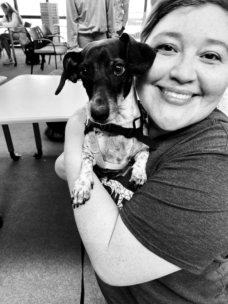cHELLonWheelz's tweet photo. Therapy Dogs @alkeklibrary for our @txst students during finals!! What a Paw-some time!!! #SLAClab https://t.co/EcVUPRefRV