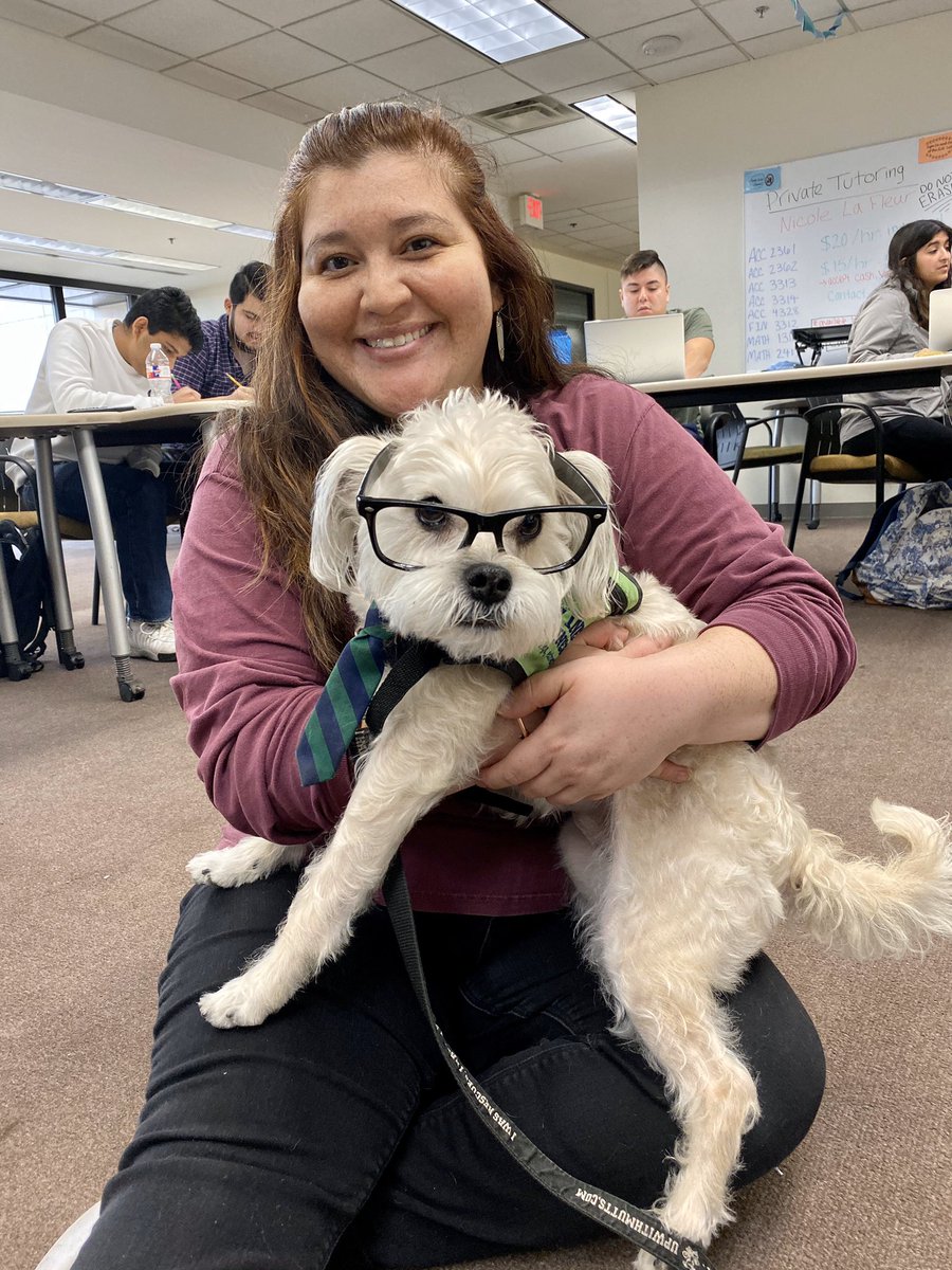 cHELLonWheelz's tweet photo. Therapy Dogs @alkeklibrary for our @txst students during finals!! What a Paw-some time!!! #SLAClab https://t.co/EcVUPRefRV