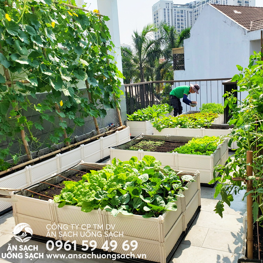 UongSach's tweet photo. 4 bước để xây dựng mô hình trồng rau tại nhà hiệu quả
https://t.co/sR4LNrpJPl https://t.co/kytNhCuVg6