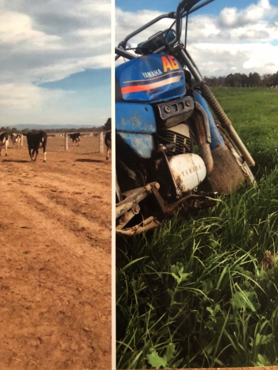 James Ampfea tweet media