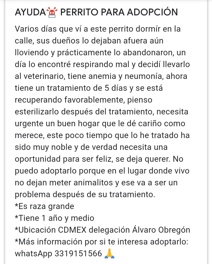Raquel RS tweet media
