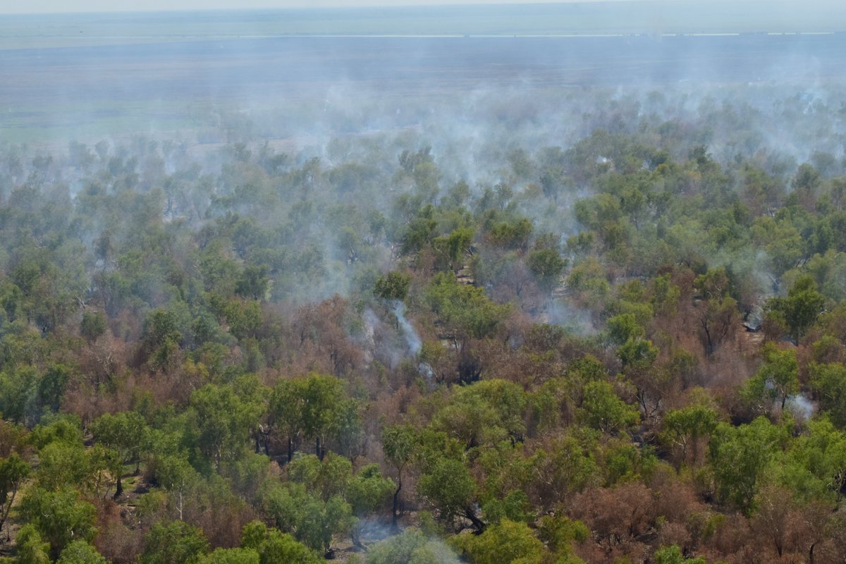 Just back from a chopper survey of wildfire on the Mary River flood plain (Corroboree - N.T.). No rain yet to extinguish these fires... not good for the extensive Melaleuca forests. #Fires #FireManagement