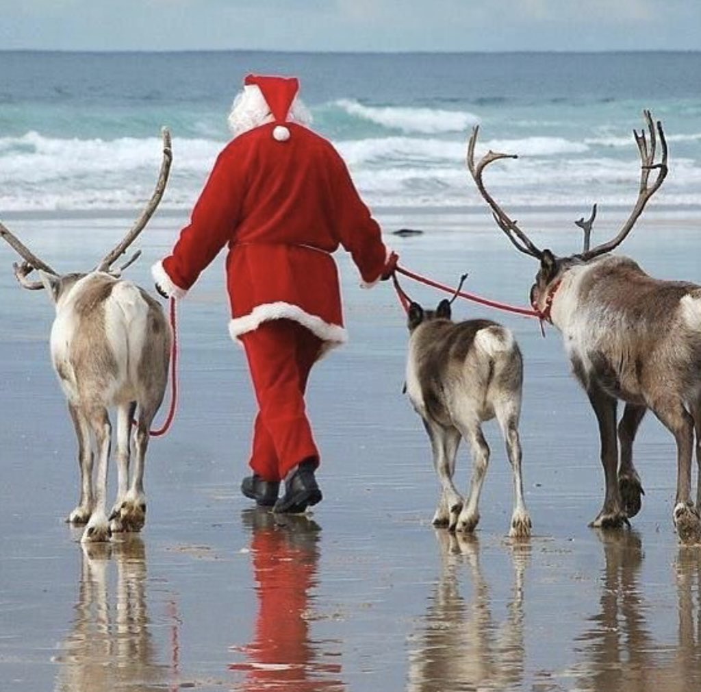 thechatterboxoc's tweet photo. OCNJ is Santa’s favorite place when he’s not in the North Pole! https://t.co/0aG5htM7Oo