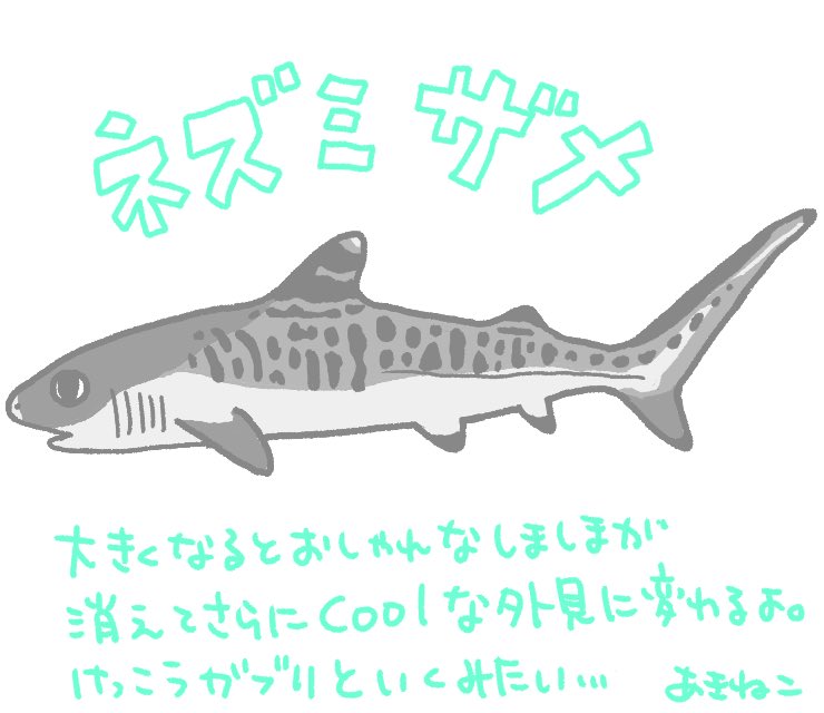 あきねこ Fish So Good בטוויטר できたー はー楽しい ネズミザメさん がんばれ かさりん 葛西臨海水族園 お昼ごはん イラスト 海水魚 水族館 ダイビング お絵描き イラスト好きな人と繋がりたい サメ かわいい お絵描き好きさんと繋がりたい あきねこ Fish So Good בטוויטר できたー はー楽しい ネズミザメさん がんばれ かさりん 葛西臨海水族園 お昼ごはん イラスト 海水魚 水族館 ダイビング お絵描き イラスト好きな人と繋がりたい サメ かわいい お絵描き好きさんと繋がりたい