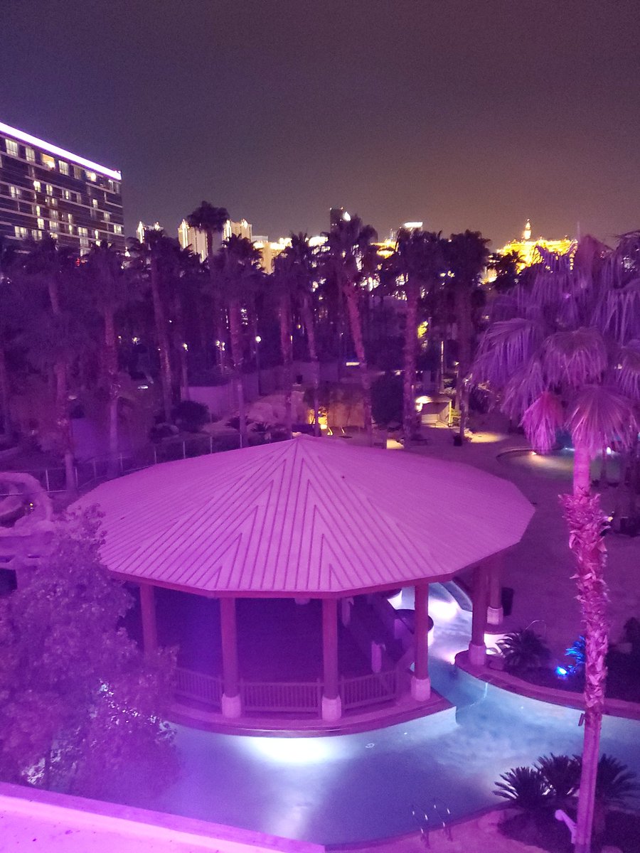 Night over Las Vegas here at the IAC conference. 

#SupportTheReturn #IndianAg #IAC2019 #buffalo #regenerativeagriculture