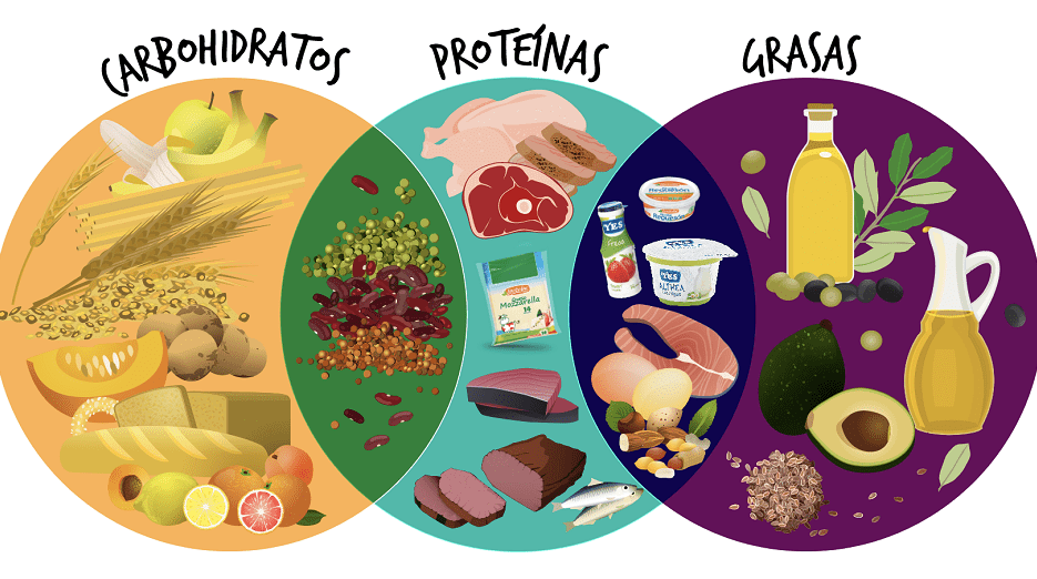 Alimentación para cetosis