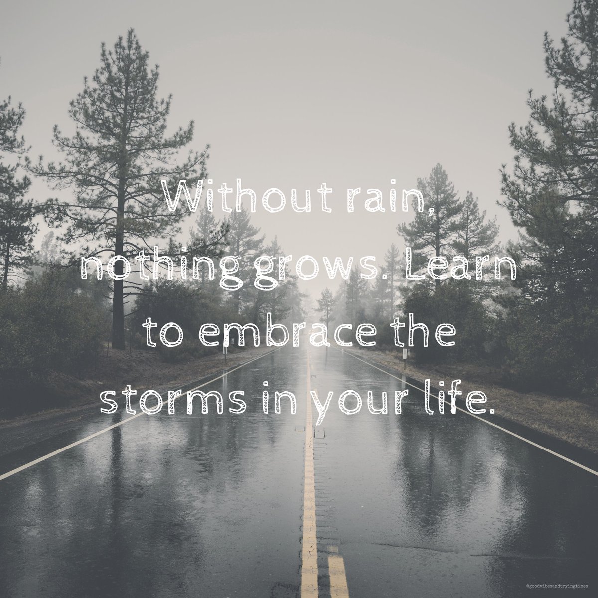 goodvibetrytime's tweet photo. #TuesdayThoughts: Without rain, nothing grows. Learn to embrace the storms in your life ☔️

#TuesdayTip #TuesdayFeeling #TuesdayMotivation #TuesdayVibes #Positivity #GoodVibesandTryingTimes https://t.co/VSI3oD00wY