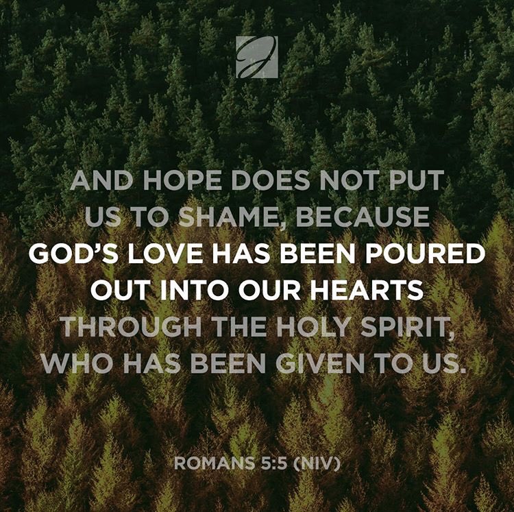 Hannah Jean (@tracylisa8) on Twitter photo 