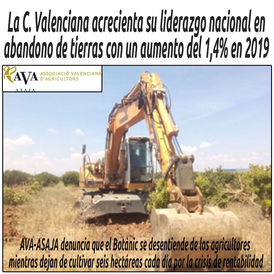 hosteleriaenvlc's tweet photo. LA C. VALENCIANA ACRECIENTA SU LIDERAZGO NACIONAL EN ABANDONO DE TIERRAS CON UN AUMENTO DEL 1,4% EN 2019
https://t.co/R1BodA2hdW
@ava_asaja #avaasaja #HosteleriaEnValencia #AbandonoTierras #CrisisRentabilidadAgricultores #SectorAgrarioValenciano #CristobalAguado #ESYRCE https://t.co/ORMawDzcpA