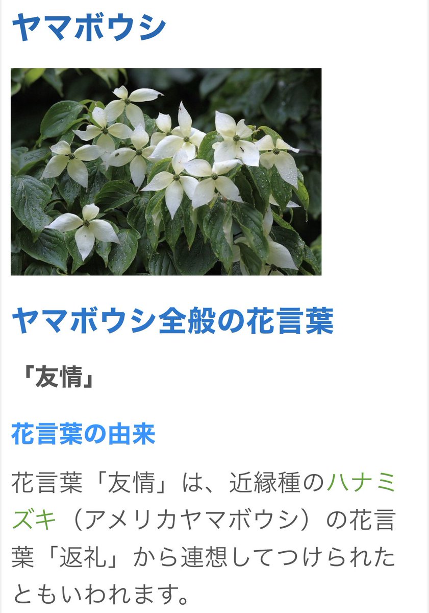フォロワー誕生花教えて Twitter Search Twitter