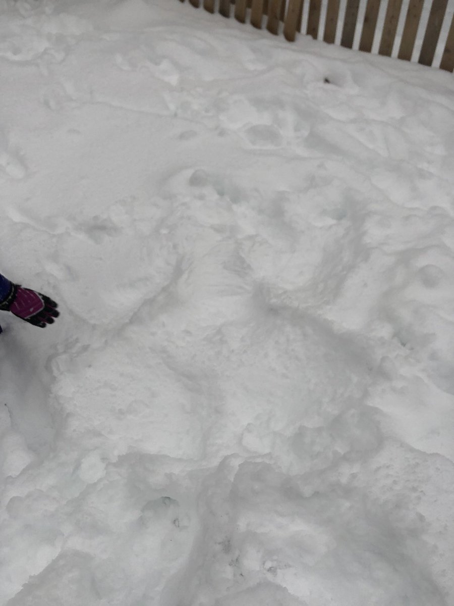 Snow Day!  Due to the weather Our  Lady of the Angels School will be closed on Wednesday, December 11