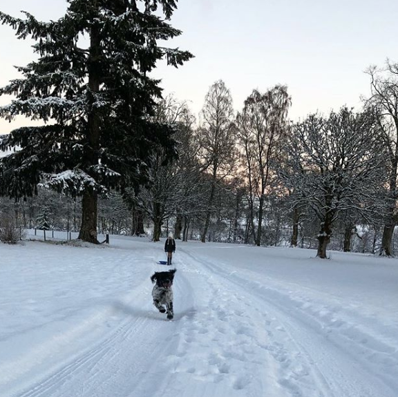 ❄️ Monzie is the best place to play in the snow!

❄️ Beat the January blues and book a new year holiday now ⟶ monzieestate.com

#bedandbreakfast #VisitScotland