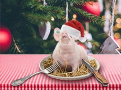 Een vleesvrij #kerstdiner? In het #lespakket 'Een betere wereld begint op je bord' bekijken leerlingen de invloed van vleesconsumptie op ons klimaat. Ze ontdekken o.a. dat bos gekapt wordt voor veevoer en veeteelt: bit.ly/2PasUOD