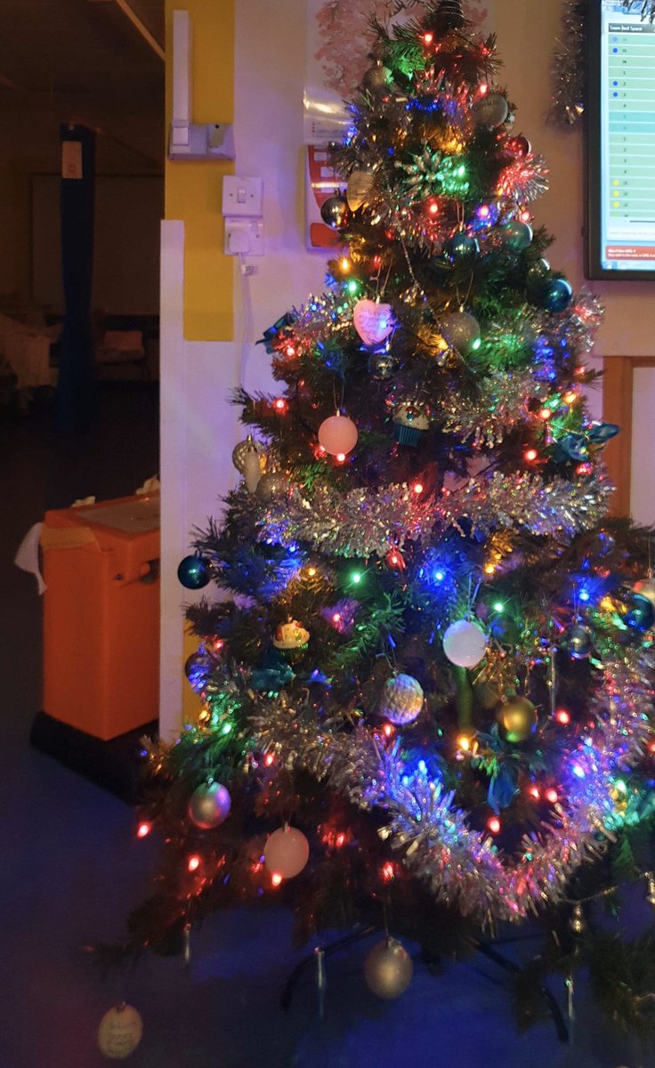 Abi_Owen95's tweet photo. Day 11 of Rex on Hex!
Rex is getting in the Christmas spirit! Can you spot him in the tree?
@sarahontarquil1 @aligriffiths10 @howes_nat #rexonhex #hexcellence https://t.co/5sGvkXX7uU