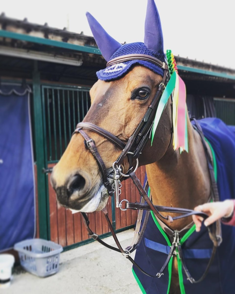 OmegaEquine's tweet photo. ✨Good luck Ben Maher!✨
-
Ben and his team have arrived in Geneva ready for the Rolex Top Ten @CHIGeneve this Friday. Good Luck Ben! @BenMaher1
-
-
#fuelledonfalcon
-
-
#horse #showjumping #ponyhour #benmaher https://t.co/JyQ75odjUG
