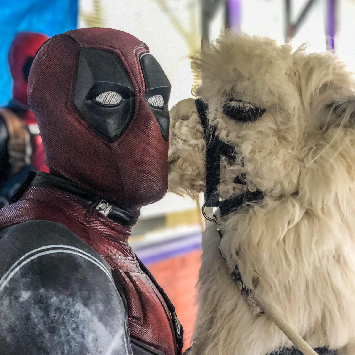 MsArielKnox's tweet photo. So, this happened.

A huge shout out to all the blood donors who gave in #FierceAvaLynn's honor today. Her legacy will live on because of your efforts.

Thank you to #PooliesAngels for standing in for @VancityReynolds 

We'll see you all again on 3/20/20 for our next blood drive! https://t.co/u9dXQpOr1n