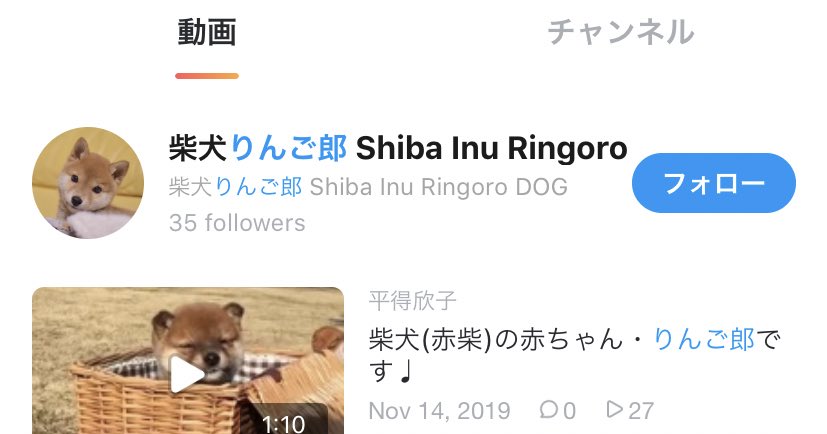柴犬りんご郎 Buzzvideo バズビデオ で自分の動画が知らない人に無断転載されているのは前々から知ってたけど そこまで再生回数いってないので放置してました ただ先日見たら 別の人に今度はアカウント名までなりすましで投稿されている これはさすが