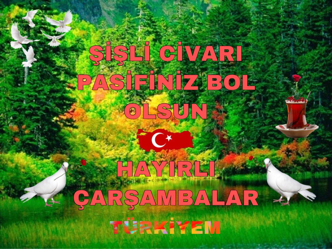 ceren cerengil (@aborjinyildi) on Twitter photo 