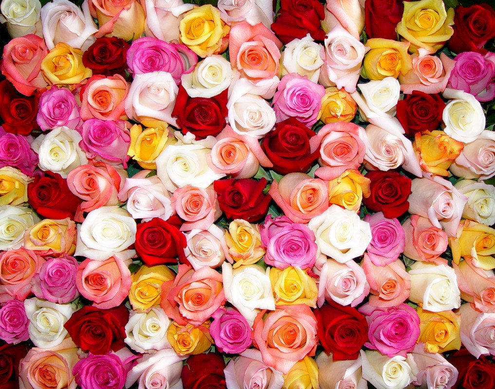 Reaumur2105's tweet photo. @Diana12118
Самую добрую, самую светлую,
Очень красивую, сердцем волшебную,
С тонной терпения и вдохновения
Жажду поздравить я без промедления.
Пусть прочь уходят все мысли печальные,
Пусть счастье будет твое нескончаемым,
Пусть только радостным будет волнение.
Веры, надежды, люб https://t.co/NJxO73ocEj