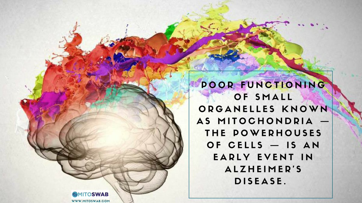 Poor functioning of small organelles known as #Mitochondria #mito #mitoswab