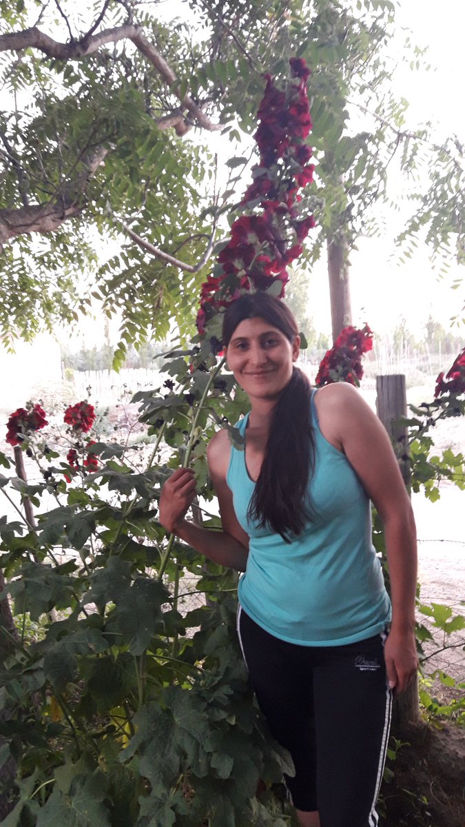 Oh oh malvon #flor #Primavera #NaturePhotography #airepuro