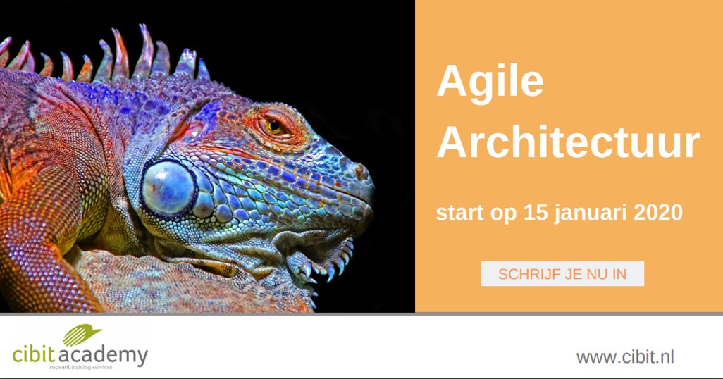Wil jij leren hoe je effectief architectuur kan inzetten in een #Agile werkende organisatie? bit.ly/2pt8ki7 #cibitacademy #inspearit