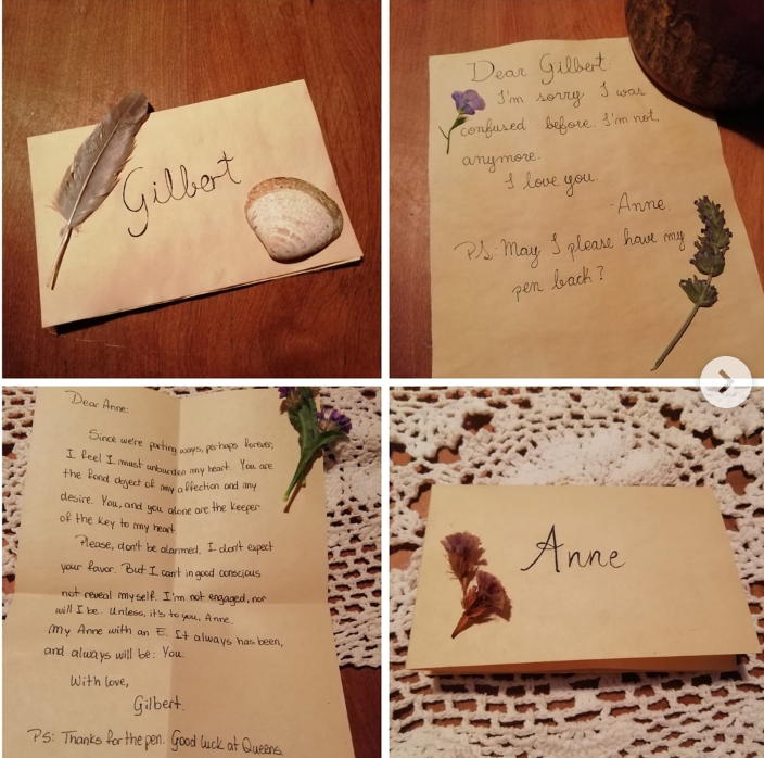 unkillabebeth's tweet photo. We should totally send in letters with anne qoutes and why we want anne back and send feathers little flowers and sea shells with the letters you guys could pick what do yall think just a suggestion #renewannewithane #SaveAnneWithAnE #bringannehome #AnneWithAnE https://t.co/X4Nvq50FUH