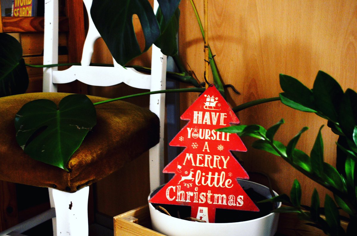 toLittleEnglish's tweet photo. Have yourself a Merry Little Christmas!
.
#adventcalendar
#11december
#11december2019
#xmasaroundtheworl https://t.co/VFr68sagiF