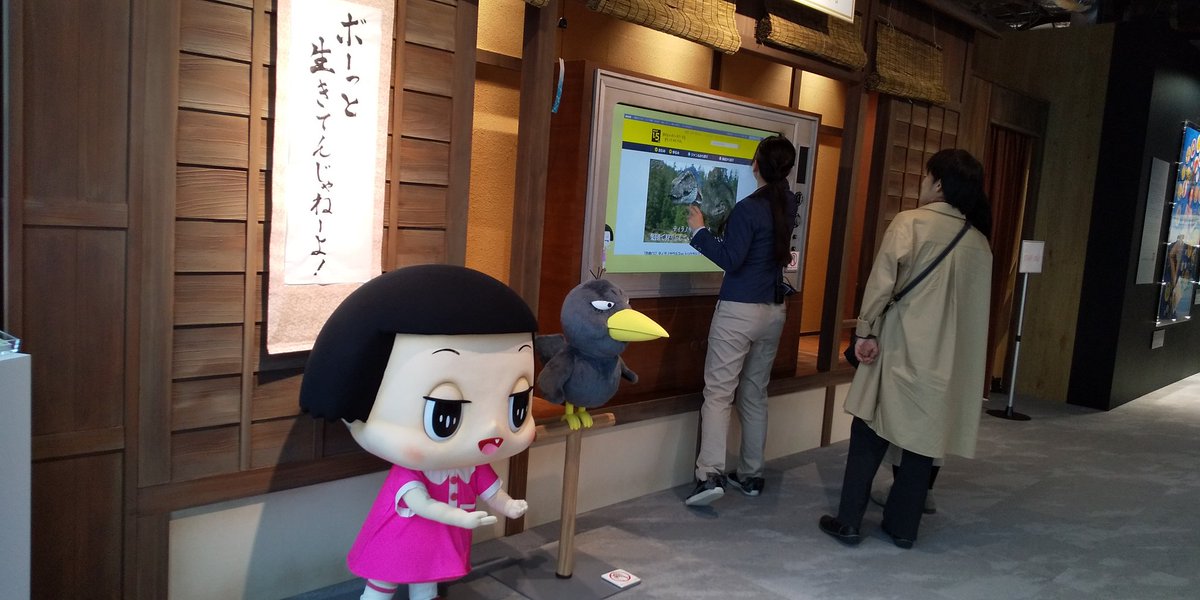 nhk プラス クロス