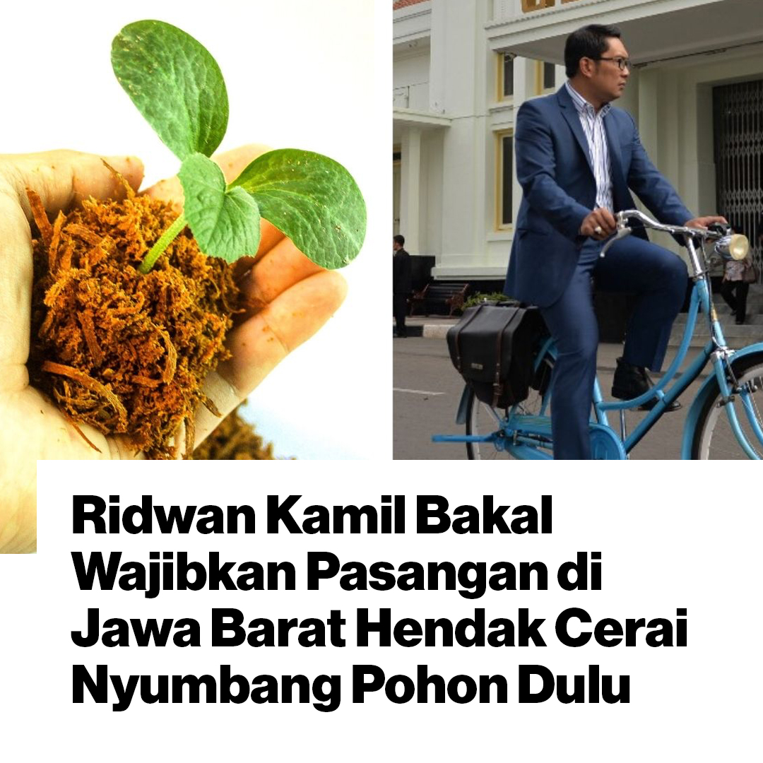 VICE_ID's tweet photo. Mulai Januari 2020 Provinsi Jawa Barat akan mewajibkan suami-istri yang akan bercerai menyumbang 100 buah pohon. https://t.co/StDeD4iBT7 https://t.co/dXYfUbWD2n