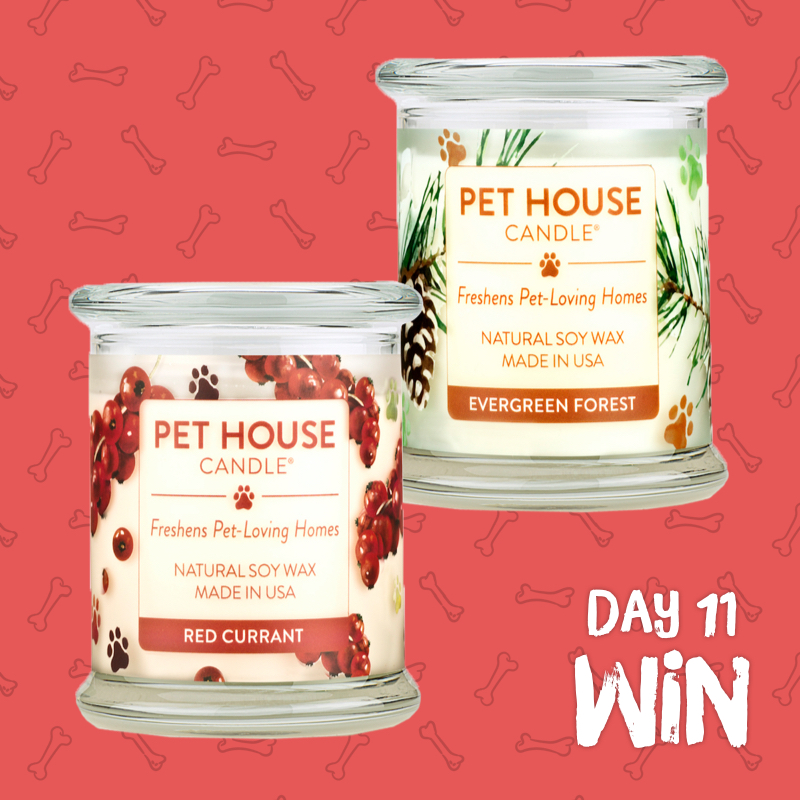 CanineCottages's tweet photo. A very Canine Christmas #competition - Day 11: We're giving away TWO Pet House large candles from @OneFurAllPets!

To #win, simply RT this post and FOLLOW our Twitter page!

Ts&amp;Cs apply. Comp ends 01/01. https://t.co/JiZz8mfVvM